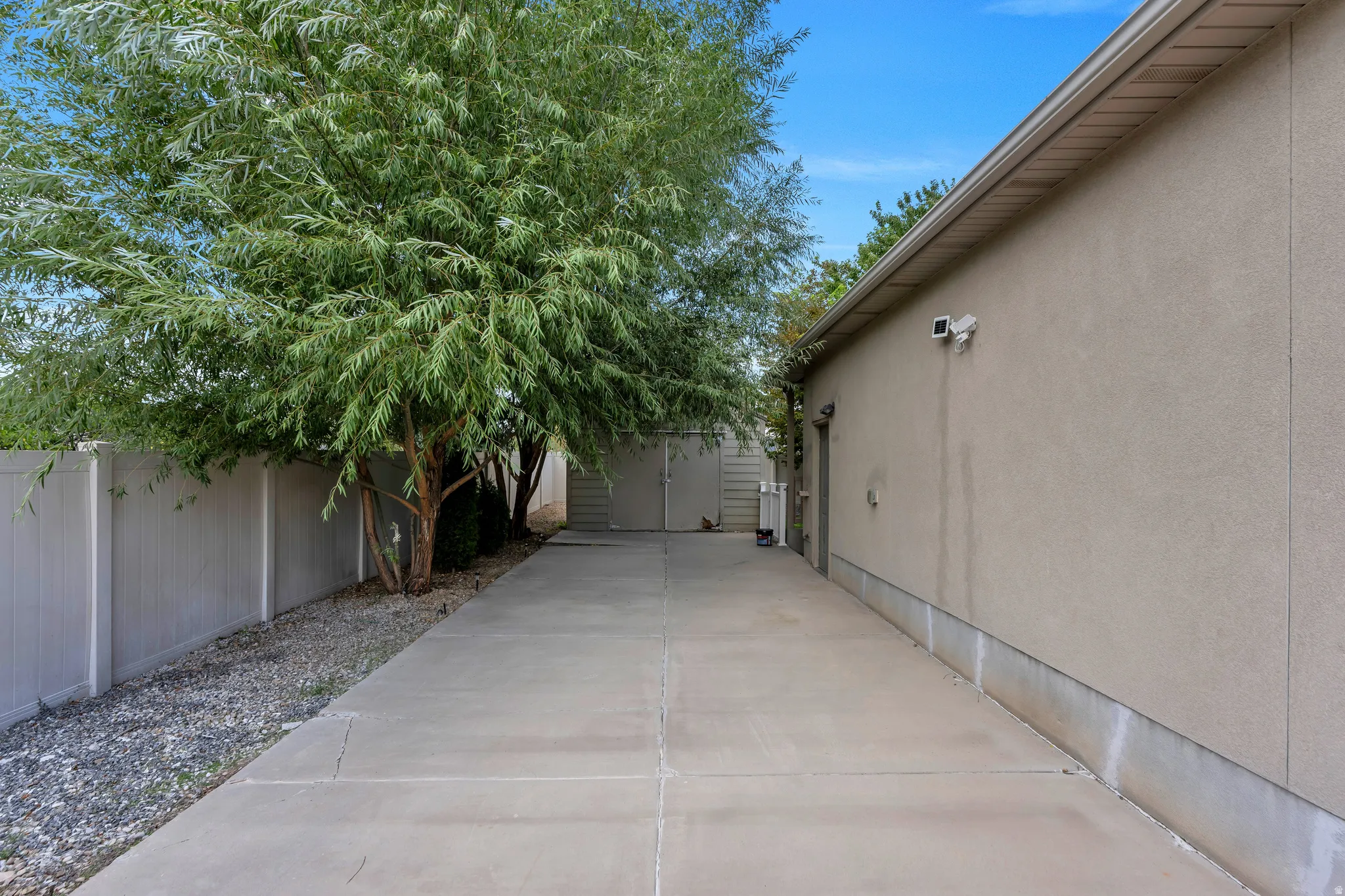 Concrete driveway with a privacy fence and mature tree
