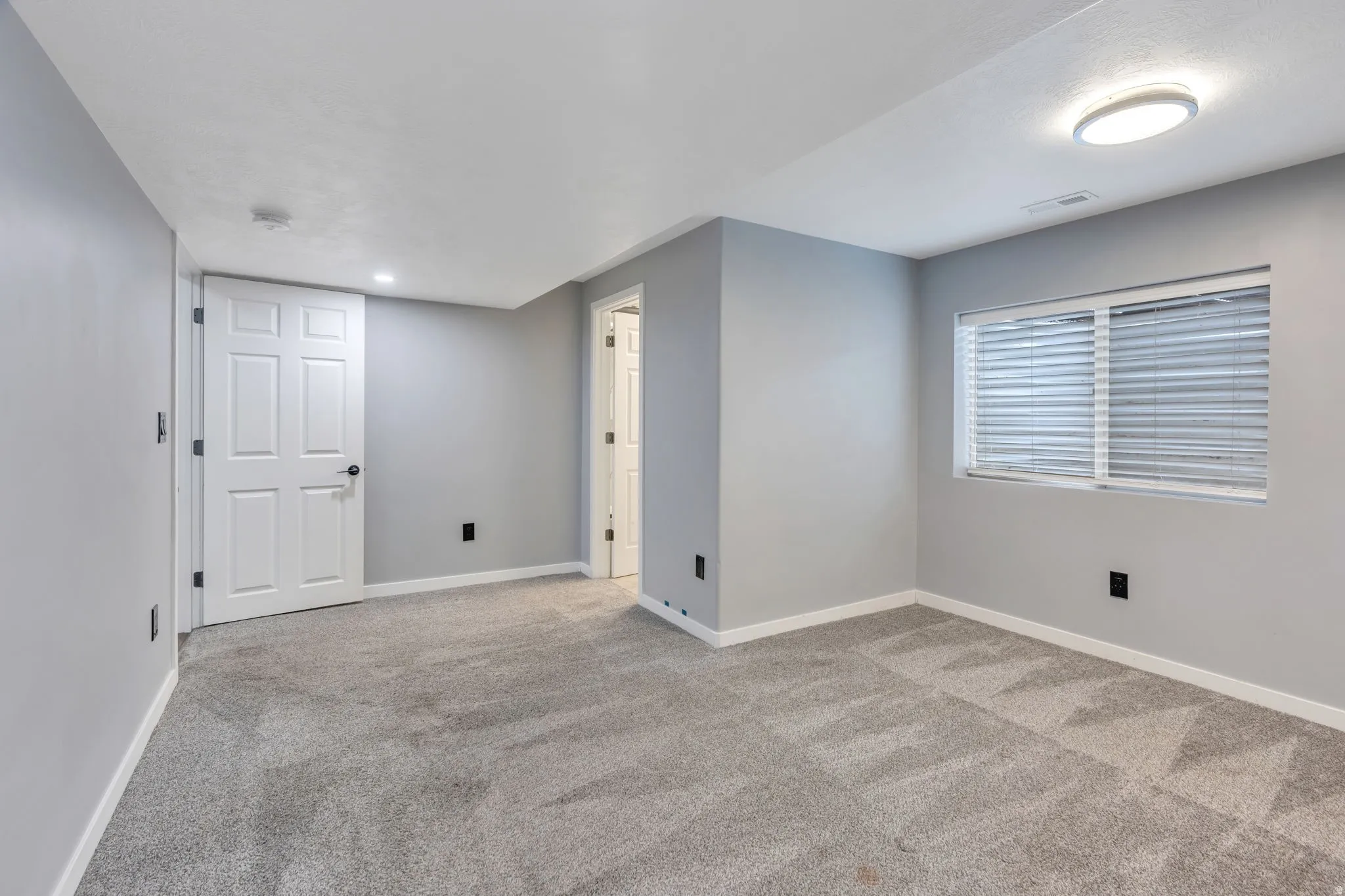 Light gray walls, gray carpet, white trim, white six-panel door, and a white window with blinds