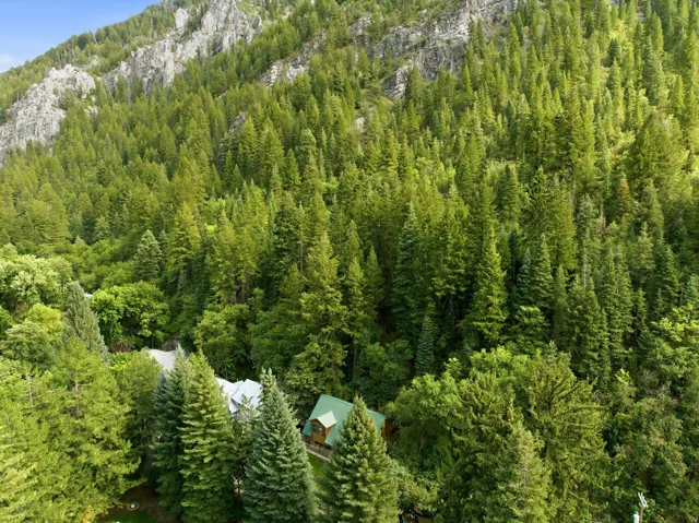 Mountainous backdrop with dense evergreen forestry