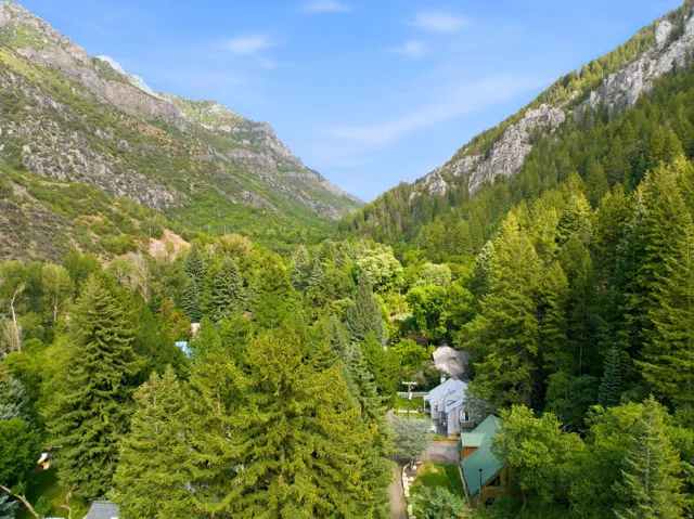 Property nestled within a lush, tree-filled canyon