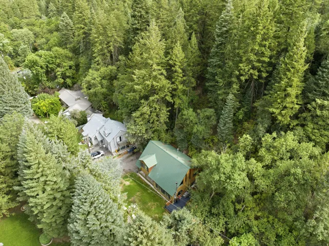 Lush, expansive tree canopy surrounding the property