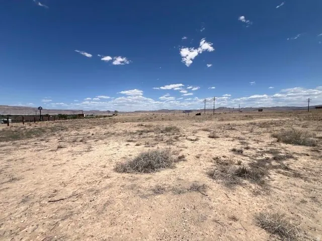 Expansive undeveloped land featuring a clear blue sky, distant mountains, and scattered shrubbery