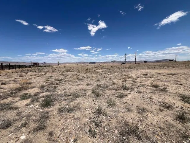 Expansive open land featuring sparse desert vegetation and a clear blue sky