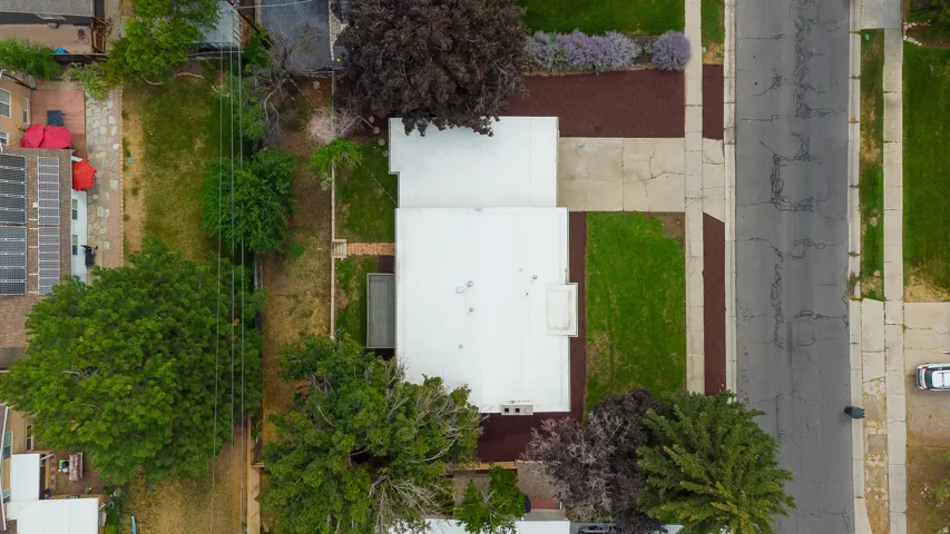 Flat white roof, concrete driveway, front lawn area, mature trees, and landscaping with purple flowering plants