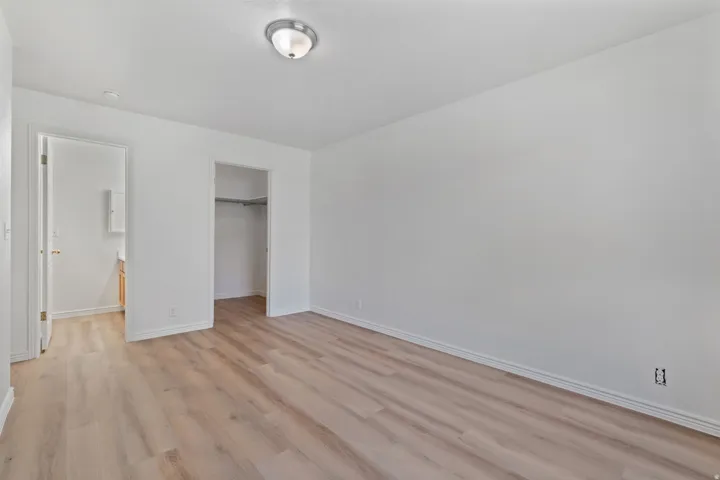 Recessed closet space, light wood-finish flooring, and a flush-mount overhead light fixture