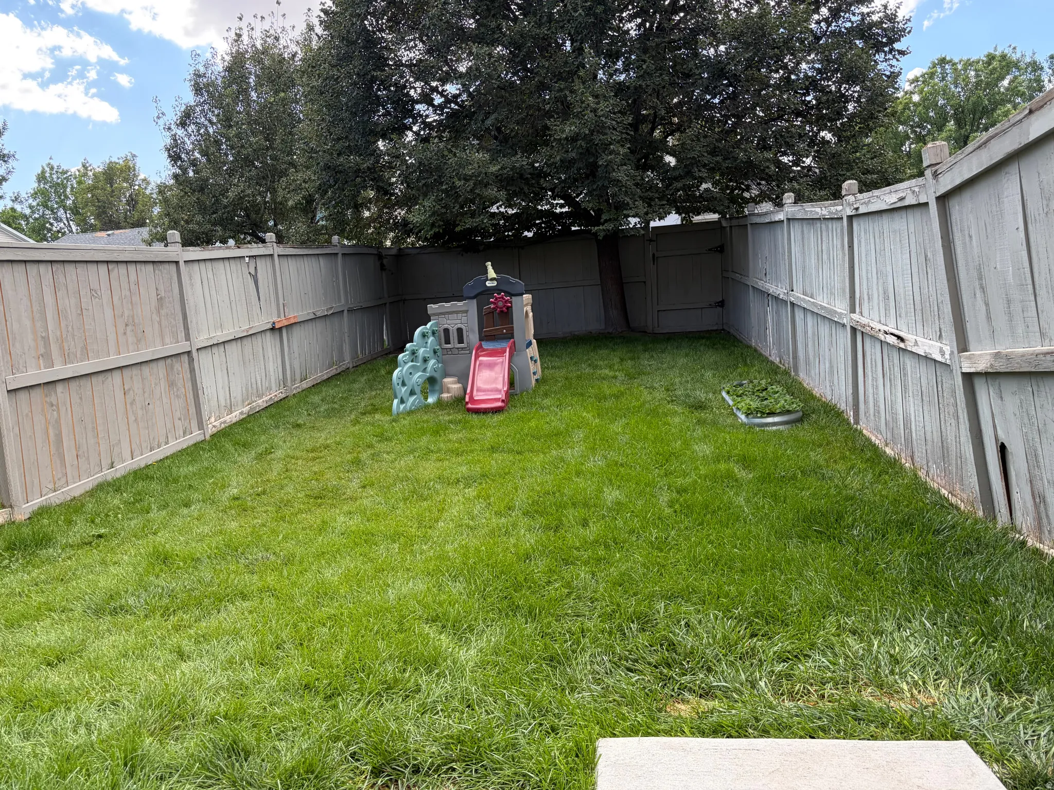 Expansive grassy yard with full perimeter fencing and mature trees