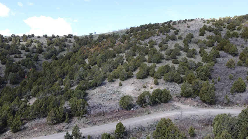 15102 S Shaggy Mountain Rd, Herriman, Utah 84096