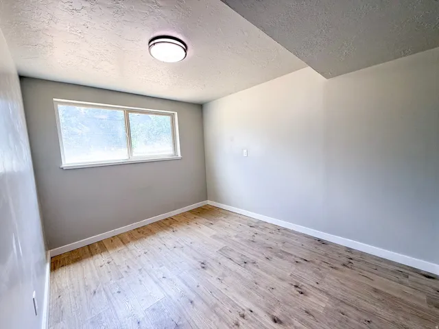 Neutral wall paint, wood-finish flooring, white trim, and a flush-mount ceiling light