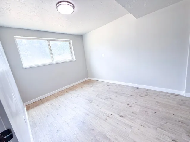 Wood-finish flooring, neutral wall paint, and a flush mount ceiling light fixture