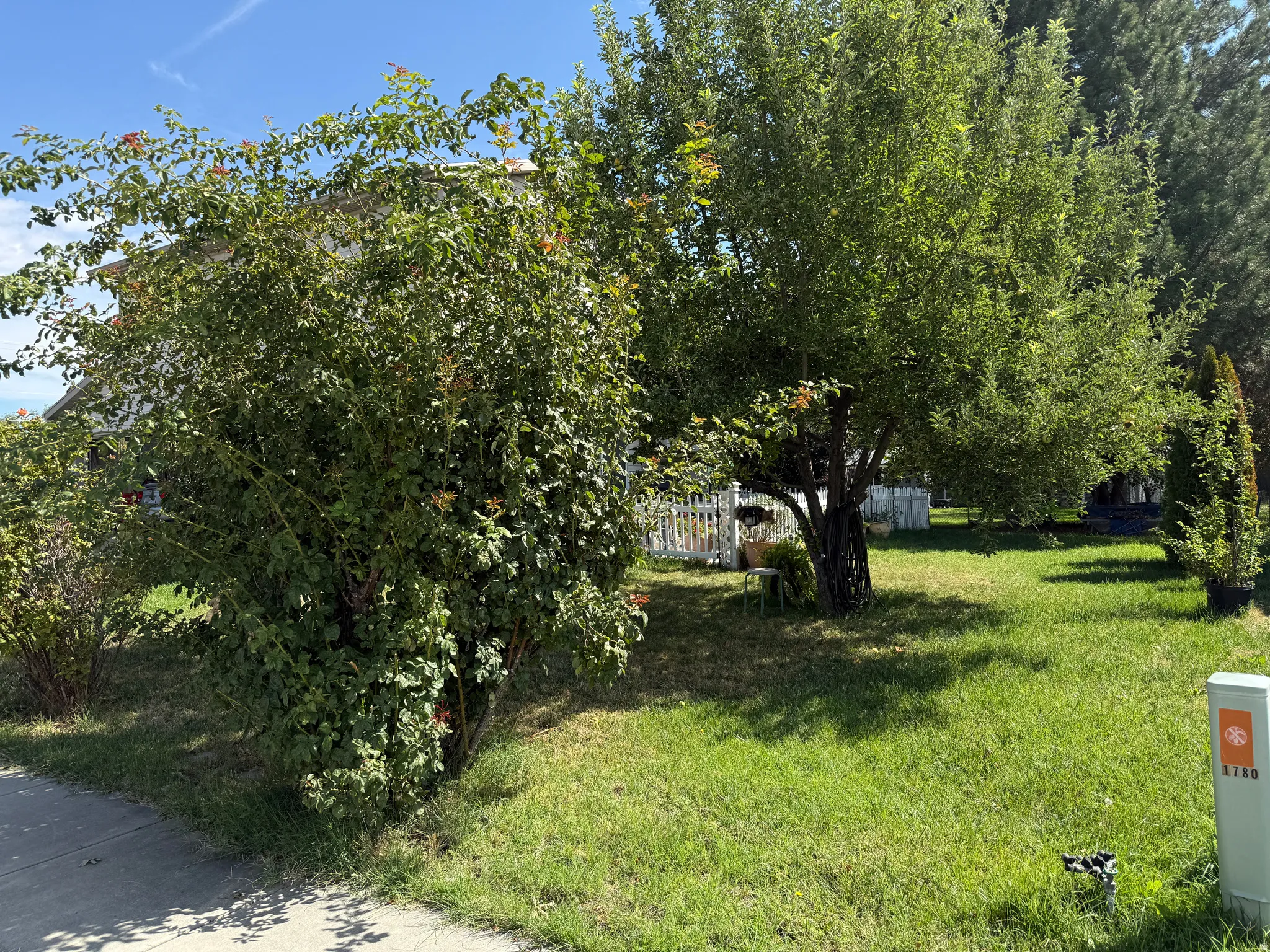 Expansive lawn area with mature trees and established shrubbery, complemented by a white picket fence