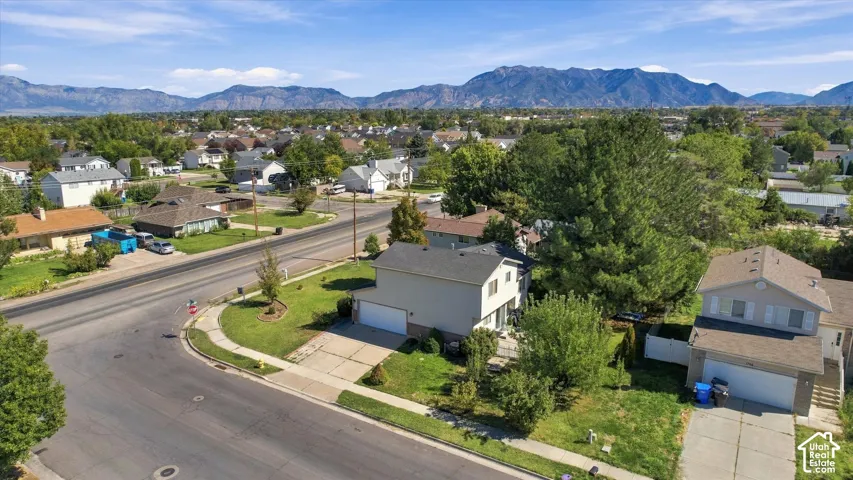 Neighborhood setting with mature trees and mountain scenery