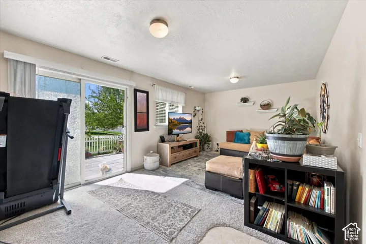 Sliding glass door, wall-mounted shelving, overhead lighting, and neutral wall tones