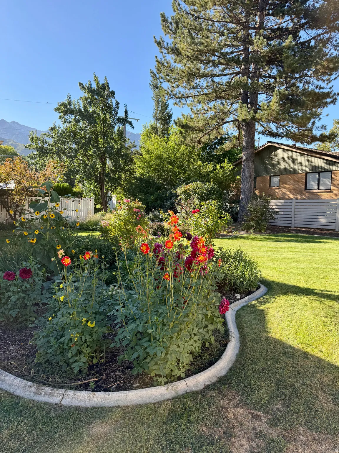 Landscaped garden bed with vibrant floral plantings and concrete curbing, bordered by green lawn