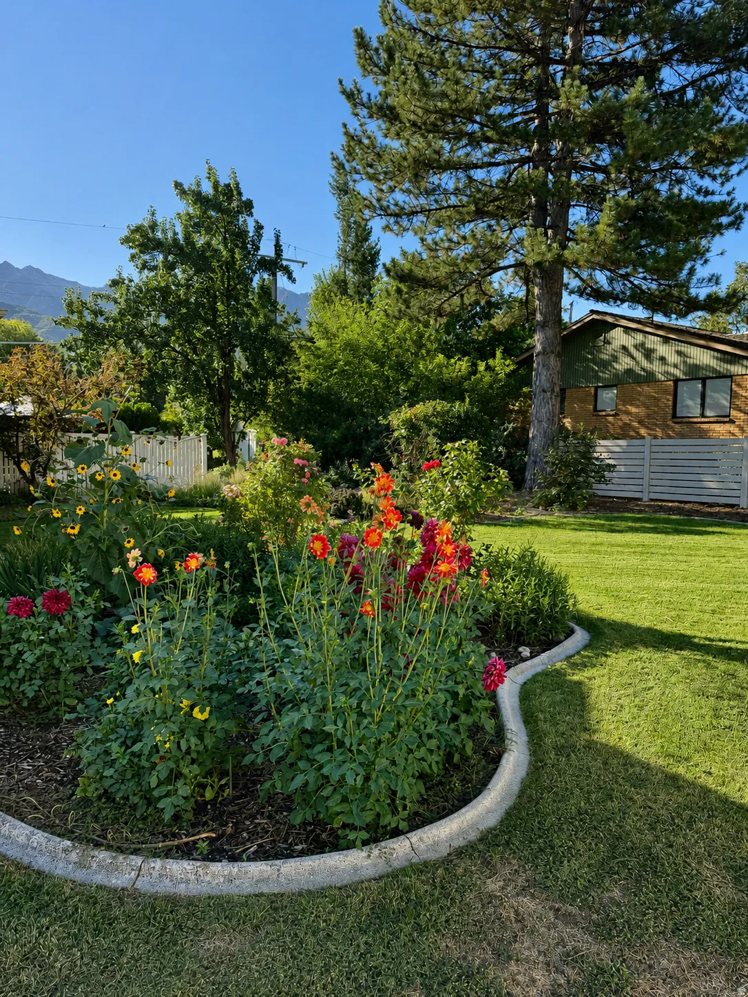 Manicured lawn with a curved concrete garden bed, mature trees, and vibrant flowering plants