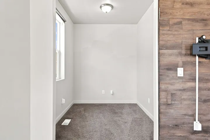 Neutral wall paint, carpet flooring, a single window, and a ceiling-mounted light fixture
