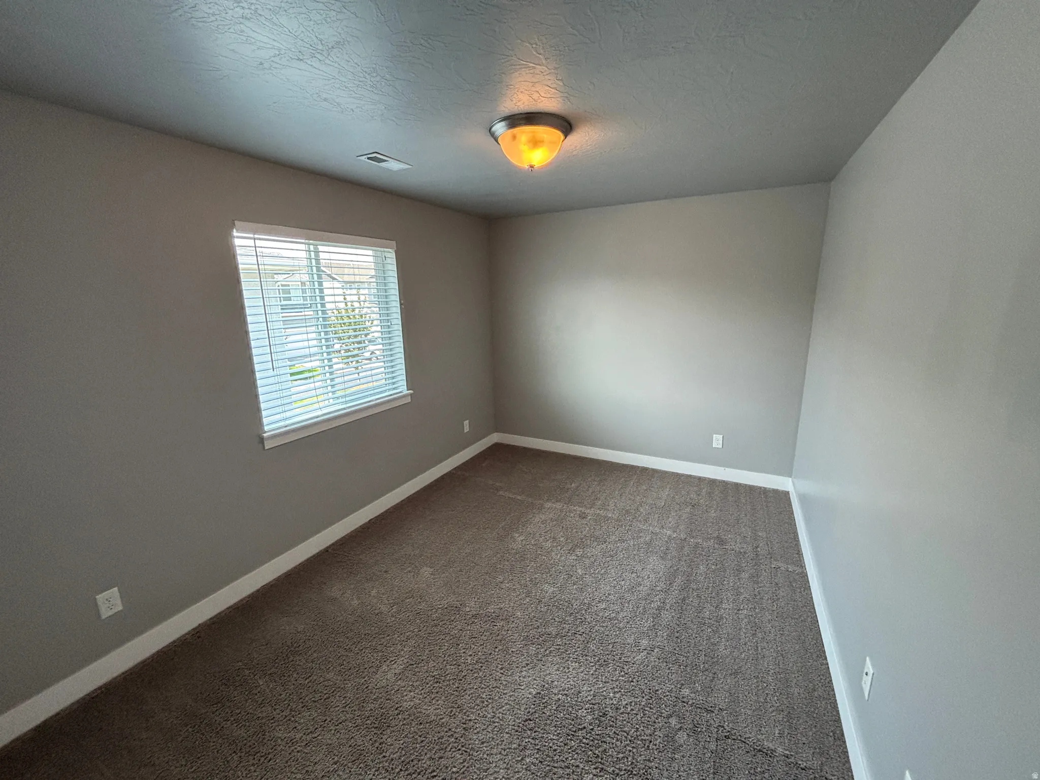 Neutral painted walls, wall-to-wall carpeting, and a flush mount ceiling light fixture