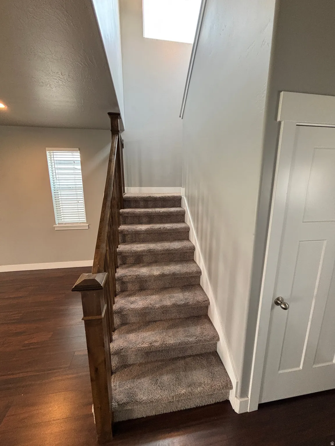 Carpeted staircase with wood-finish handrail, white trim, and a skylight