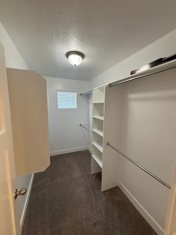 Walk-in closet featuring built-in shelving, multiple hanging rods, and carpet flooring
