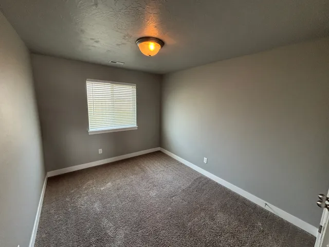 Neutral wall color, textured carpeting, window with horizontal blinds, flush mount ceiling light fixture, and white trim