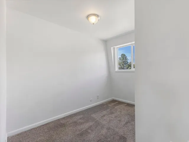 White walls with grey carpet flooring and a ceiling-mounted light fixture