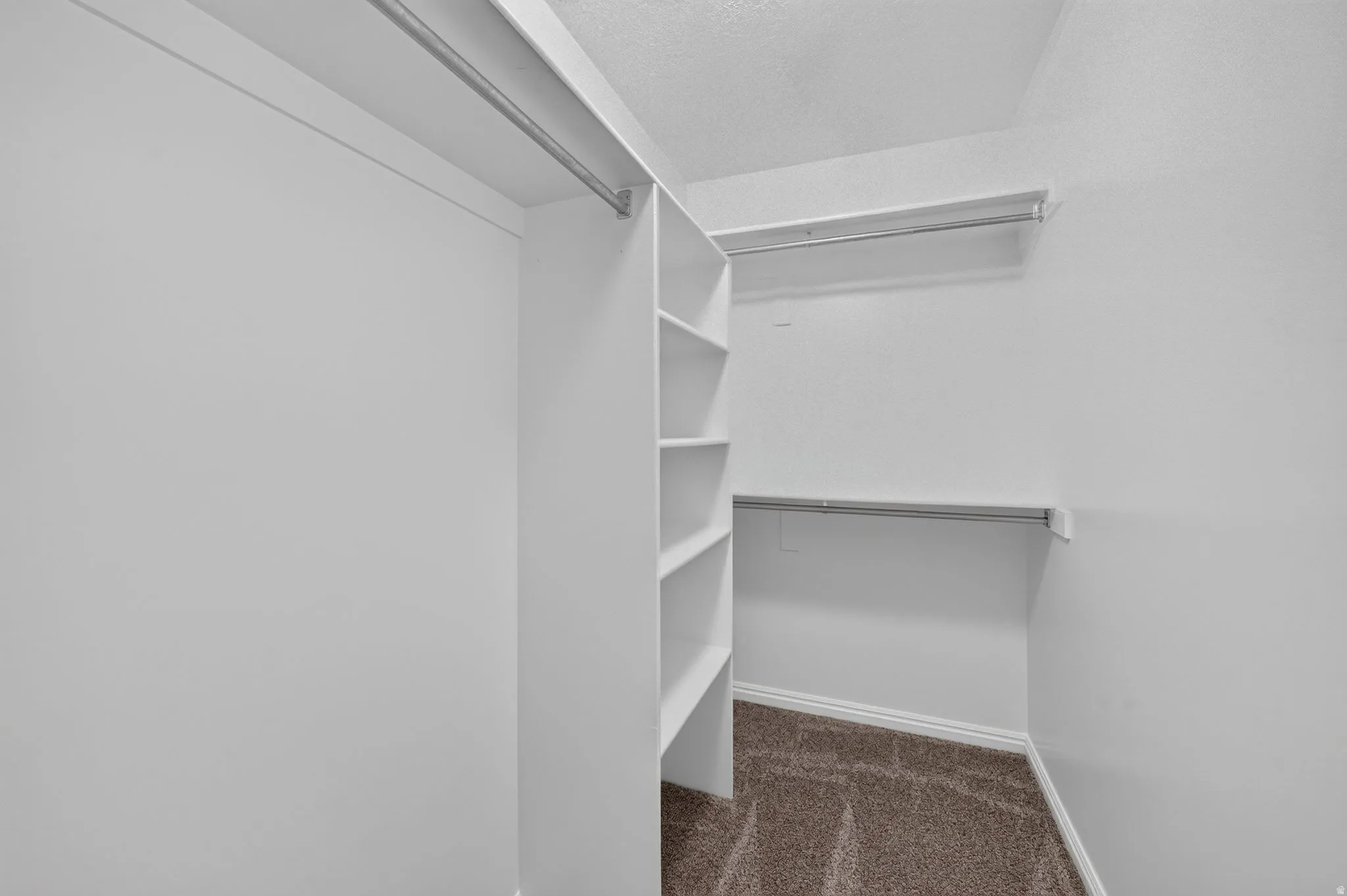 Walk-in closet featuring built-in shelving, multiple hanging rods, and carpet flooring