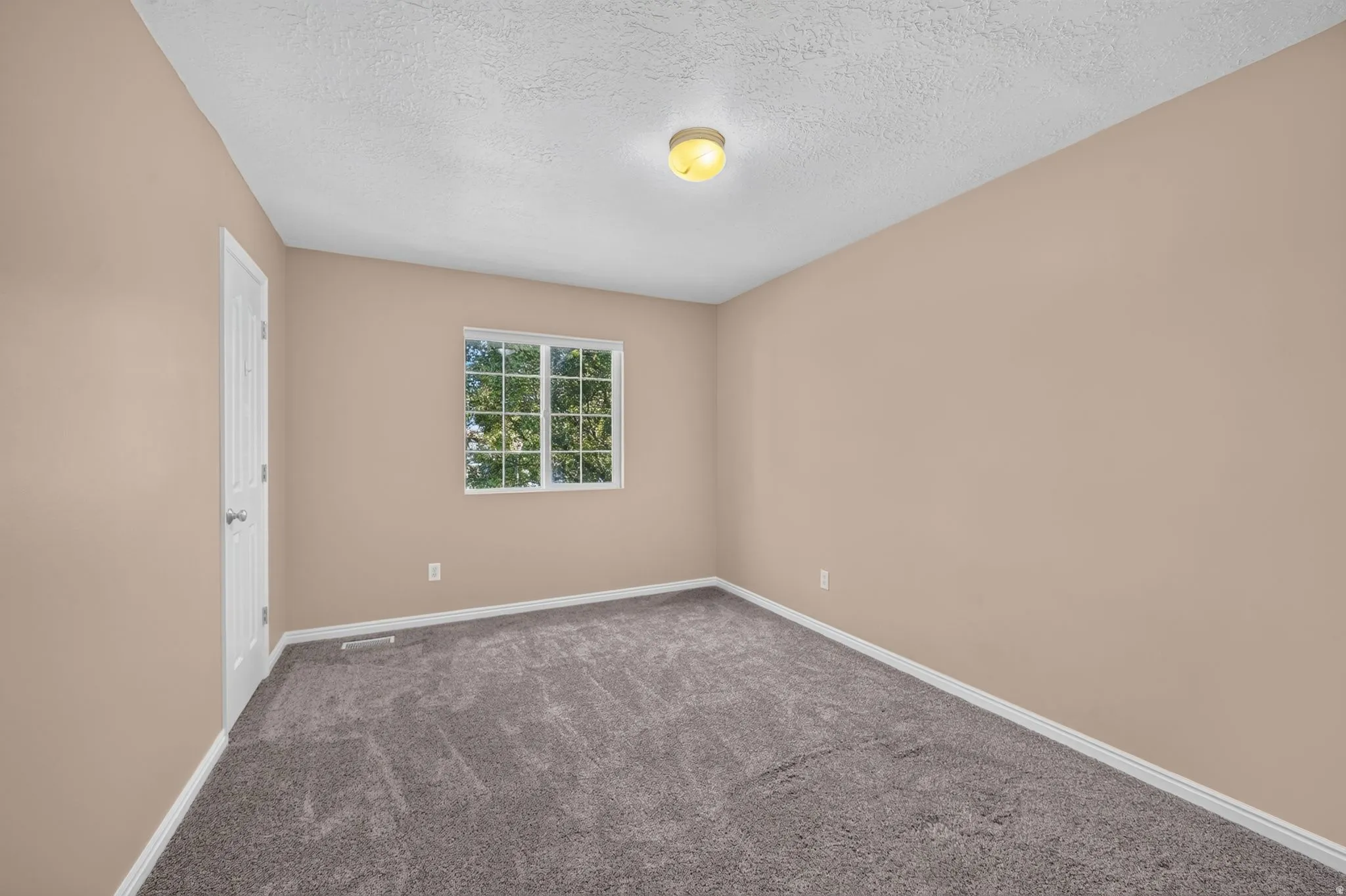 Neutral wall tones with textured carpeting