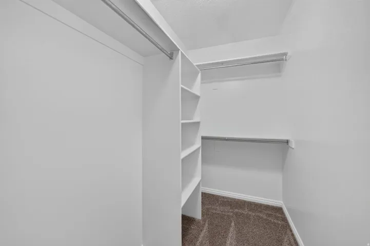 Walk-in closet featuring built-in shelving, multiple hanging rods, and carpet flooring
