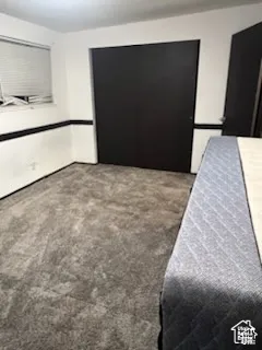 Gray carpeting, white walls with black trim, and a window with horizontal blinds