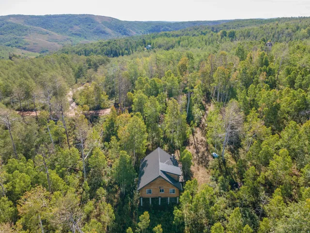 Wood-sided residence with a dark-pitched roof, surrounded by extensive mature trees