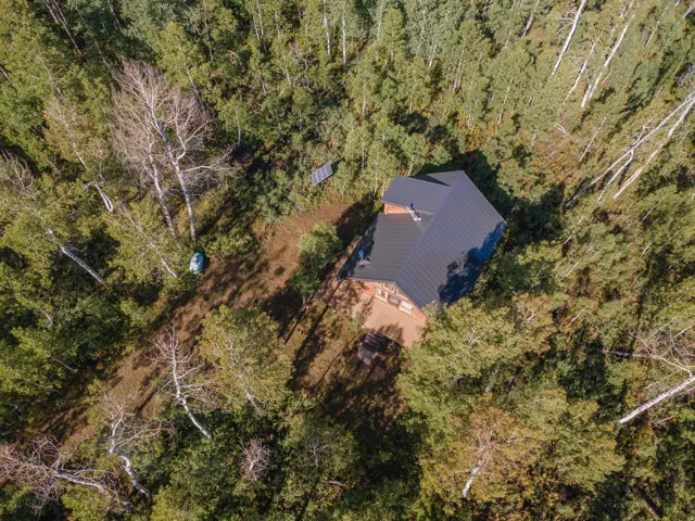 Wood-sided residence with a dark metal roof, surrounded by mature deciduous trees