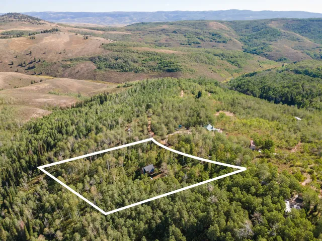 Wooded acreage featuring a single structure