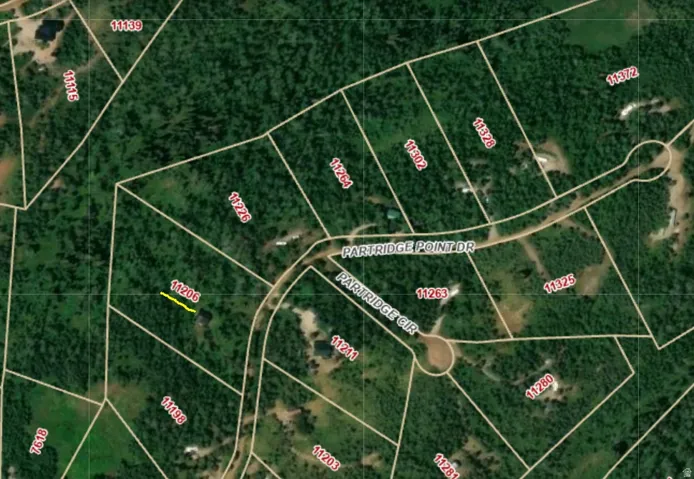 Plat Map. Illustrating lot boundaries, parcel numbers, and road infrastructure within the property