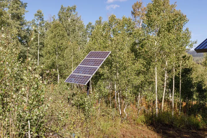 Solar panel installation amidst natural landscaping
