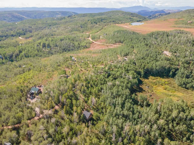 Expansive wooded landscape with a distant pond and mountainous terrain