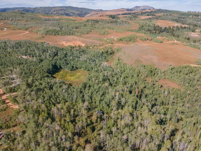 Expansive wooded property featuring a natural landscape and distant mountains