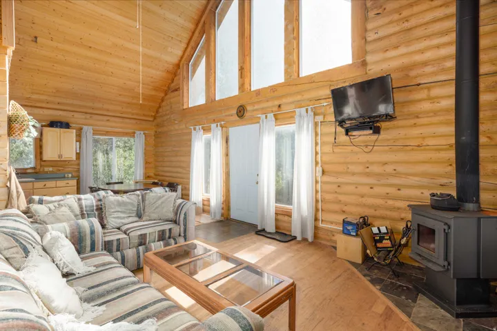 Vaulted ceiling with wood-finish paneling, log wall construction, a freestanding wood stove with stone-finish hearth, and a wall-mounted television