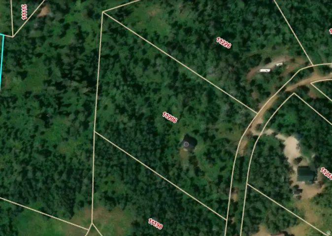 Parcel Map. Illustrating lot divisions and identification numbers within the property