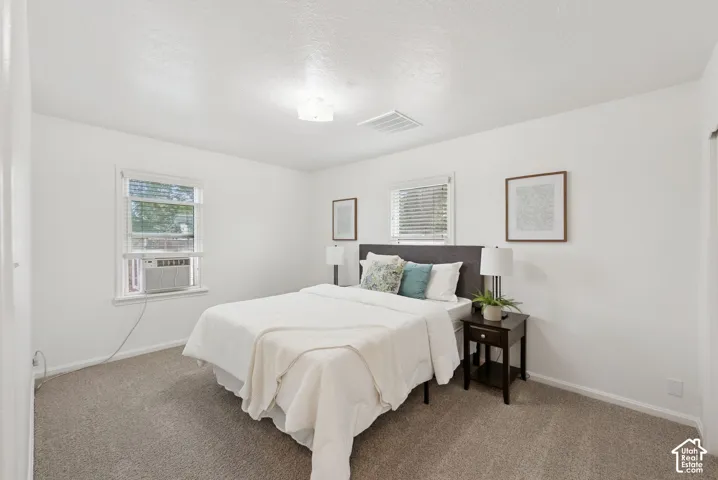 Carpeted bedroom with two windows and a ceiling-mounted light fixture