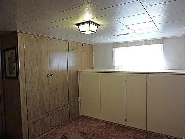 Wood-finish wall paneling, built-in storage cabinetry, and a ceiling-mounted light fixture
