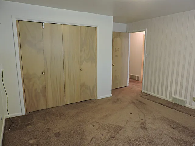 Bifold closet doors, striped wall paneling, and wall-to-wall carpeting