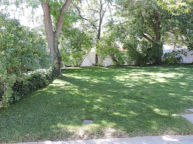 Expansive yard featuring a manicured lawn, mature trees, dense perimeter shrubbery, and a white privacy fence
