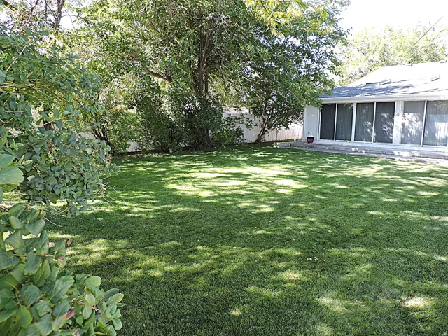 Expansive lawn with mature landscaping, a white privacy fence, and a rear exterior featuring multiple large windows and a concrete patio