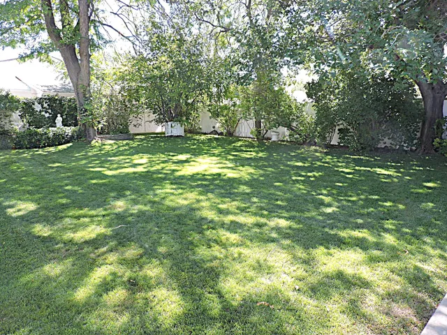 Expansive lawn area with mature trees and perimeter shrubbery