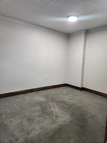 Plush carpeting, crown molding, and wood-finish baseboards