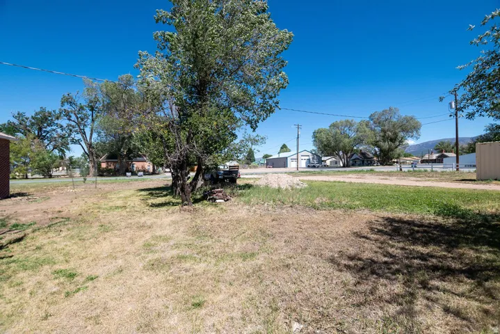 Expansive lot with mature trees and a clear blue sky