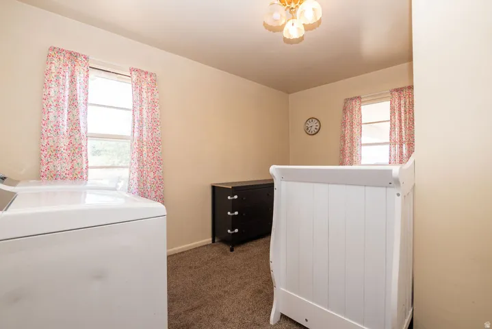 Neutral wall paint with two windows, a ceiling-mounted light fixture, and carpet flooring