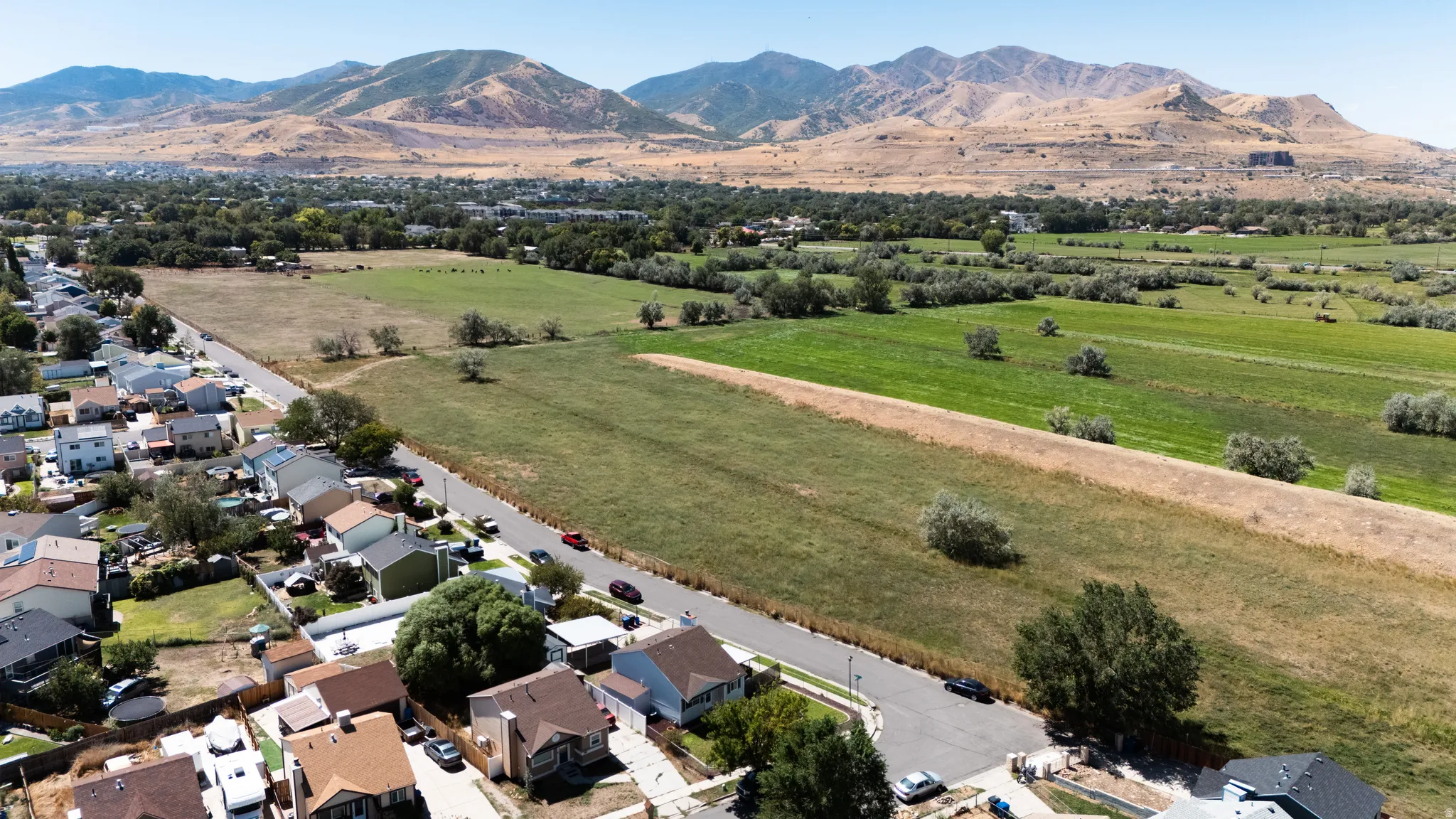 Expansive green acreage with distant mountains