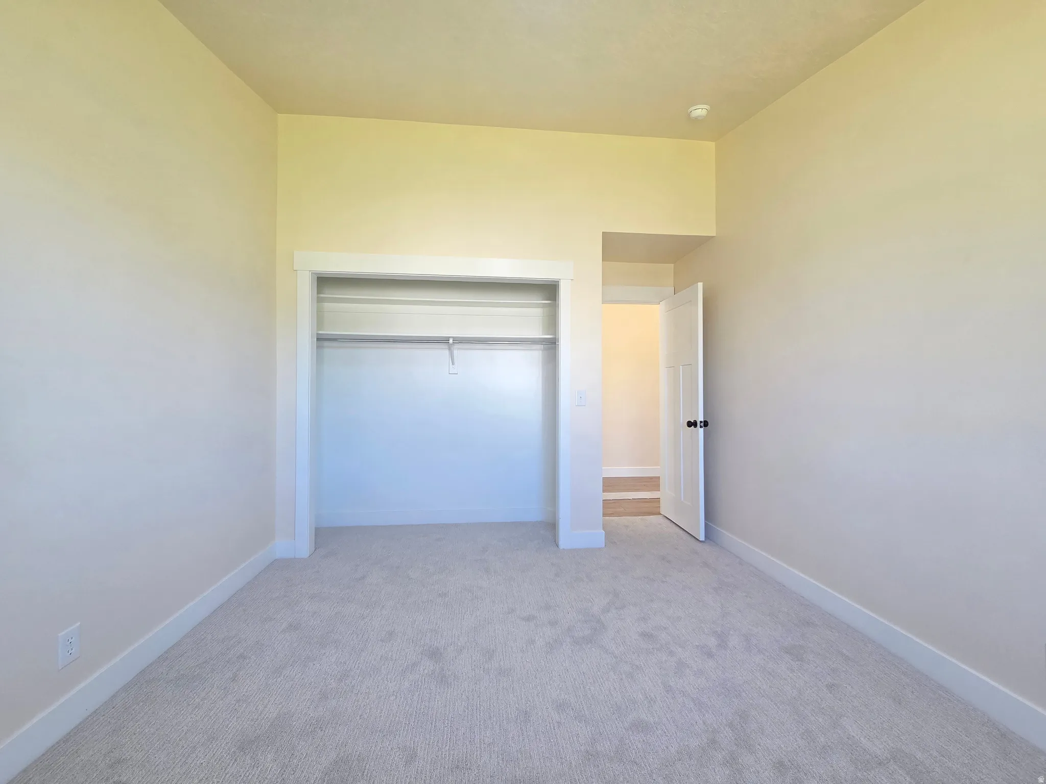 Neutral-toned walls, light-colored carpeting, and a built-in closet with a hanging rod