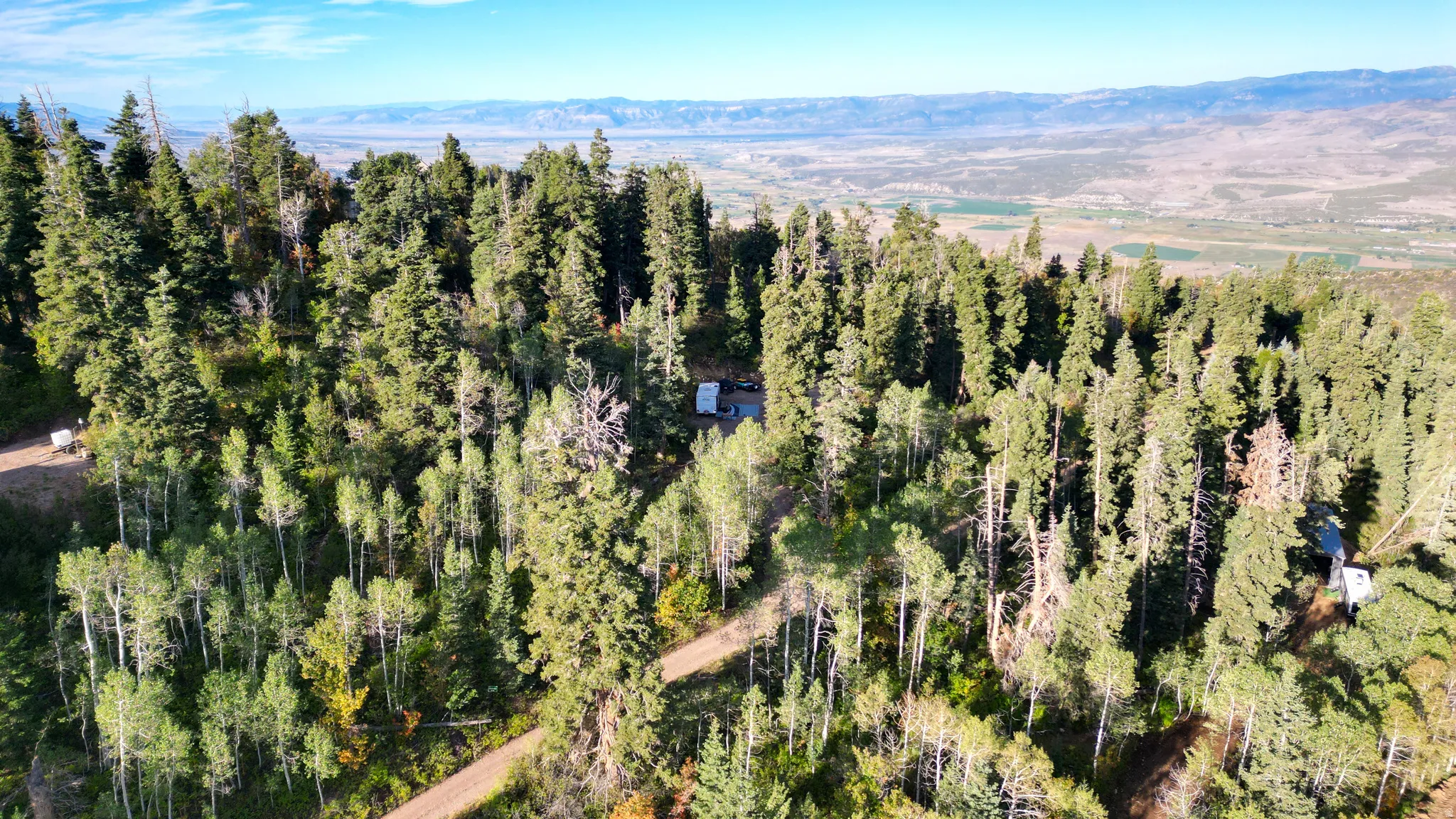 Wooded acreage with varied tree species, including evergreens and aspens