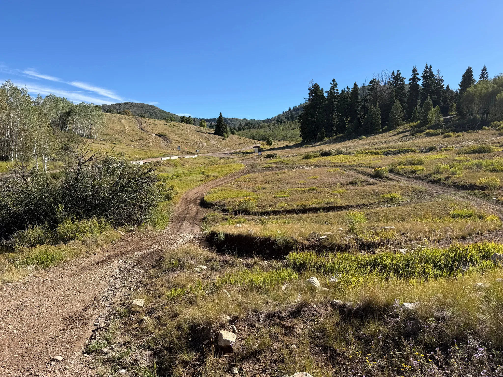 Nearby open meadow and riding trails